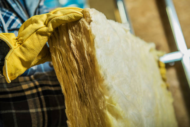 Best Blown-in Insulation  in Lake Wazeecha, WI